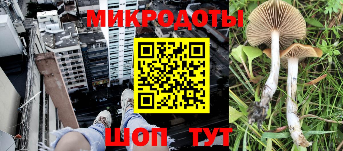 Галлюциногенные грибы мухоморы Валуйки